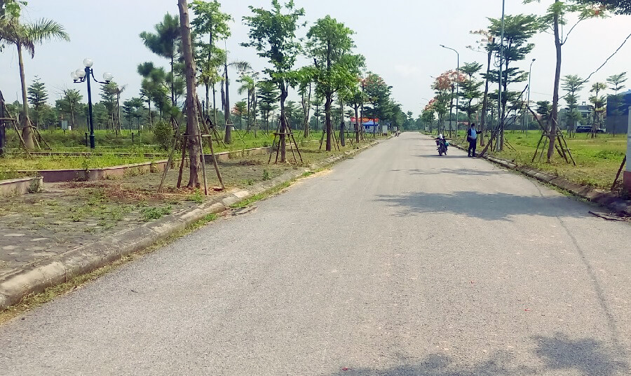 Cây cối được trồng tạo ra không gian xanh tươi mát